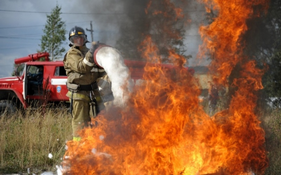 Томский «Киберцентр» создал систему для планирования тушения лесных пожаров