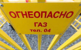 Кляйн потребовал благоустроить Сосновый Бор после газификации в сжатые сроки