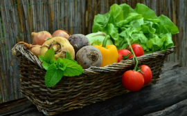 В Томской области стартовала уборка овощей