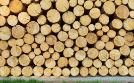 В Томской области древесную продукцию произвели на 25 млрд рублей