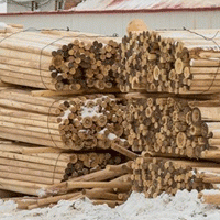 Власти Томской области продолжают реализовывать проект по созданию индустриального леспромпарка