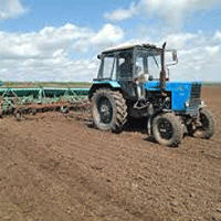 Аграрии Томской области получат почти 20 миллионов рублей на закупку семян для посевной