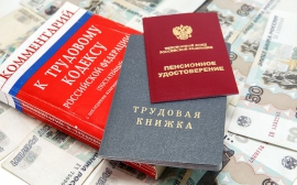 «Справедливая Россия» внесла в Госдуму свой вариант пенсионной реформы‍