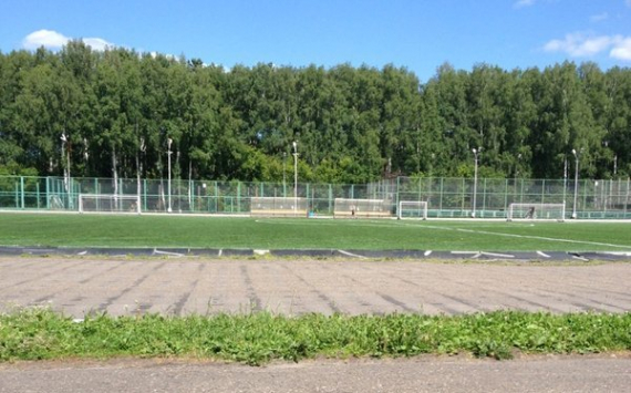 Томский стадион «Буревестник» защитят при помощи деревьев