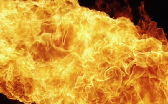 Томские учёные разработали технологию инфракрасного анализа противопожарной защиты материалов