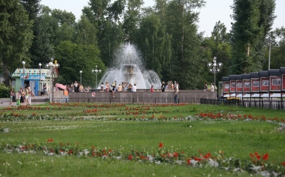 В Томске будет разработана новая программа озеленения территорий