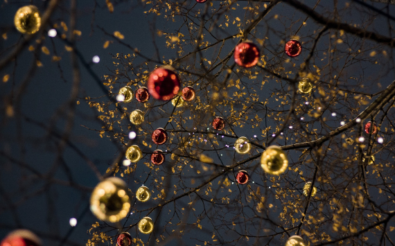 В Томске новогодняя ёлка появится к 10 декабря