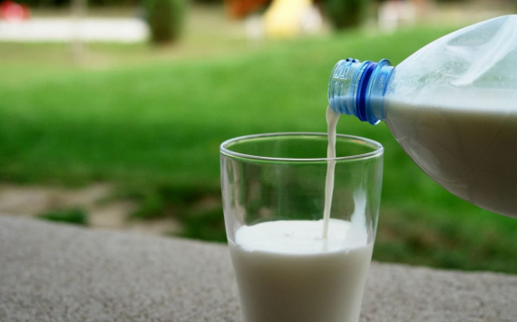 В Томском районе хотят запустить производство веганского молока