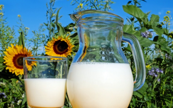 В Томской области выросло производство молока