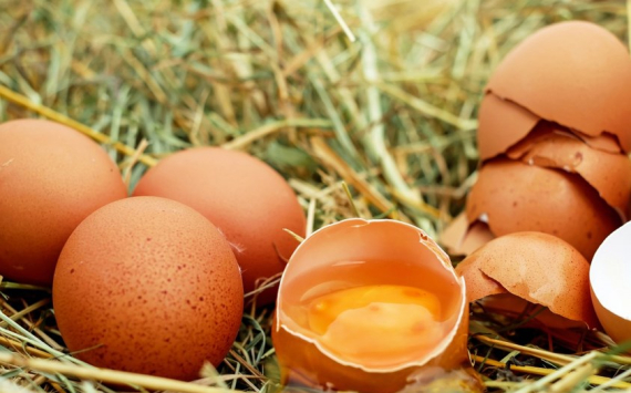 В Томской области в конце января пересмотрят цены на куриное яйцо