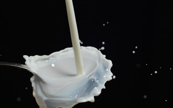 Томская область увеличит долю собственного выпуска молока