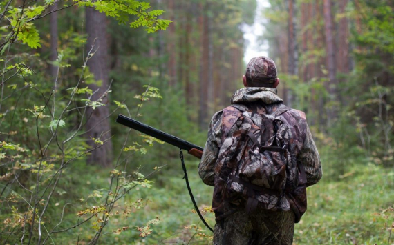 С операторов томских охотничьих угодий потребовали за аренду 35 млн рублей