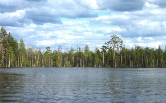 В Томской области создан новый ландшафтный парк